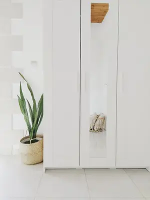 a plant in a pot next to a white wall at Villa Naiades Traditional Cretan Stone House with private Pool and Garden in Chania in Arménoi