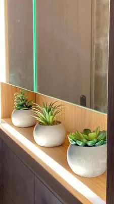 three plants in vases sitting on a shelf at Cellar - Shared Pool & Nature Views in Spiliá