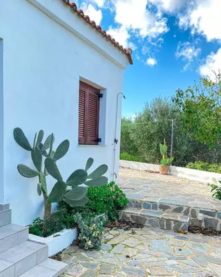 a cactus in front of a white house at Alkis Olive Grove Cottage in Vasilópoulon