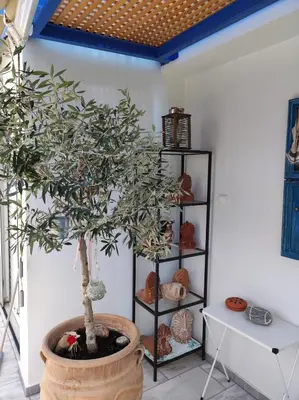 a potted tree in a room with a shelf at Downtown house with seaview near to the beach in Chania Town