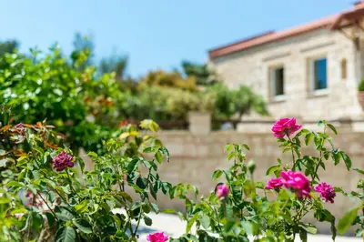 a garden with pink flowers in front of a house at Villa Chara Chania in Agia Marina Nea Kydonias