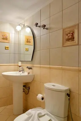 a bathroom with a sink and a toilet and a mirror at Sofoklis Apts in Stalos