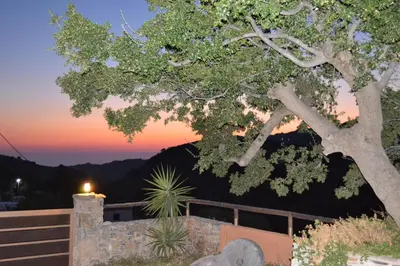 a tree with a sunset in the background at Archon Villa in Pandeleḯmon