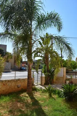 a palm tree in a yard next to a fence at Rubini Homes in Agia Marina Nea Kydonias