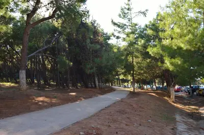 a walking path in a park with trees at Katerina Rooms Agii Apostoloi in Kato Daratso