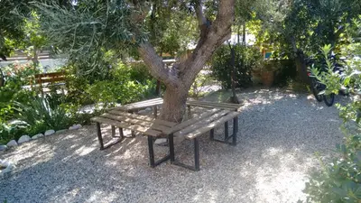 a wooden bench sitting next to a tree at Kampos Rooms in Palaiochóra