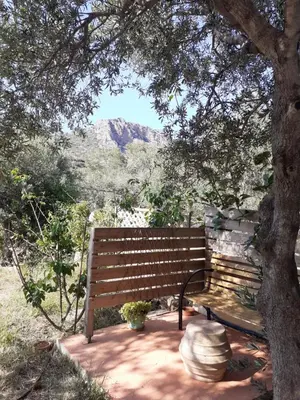 a wooden bench sitting under a tree with a view at Kampos Rooms in Palaiochóra