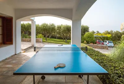 a blue ping pong table with a turtle on it at Villa Oleander in Kounoupidhianá