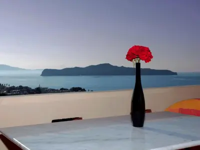 a black vase with a red flower on a table at Eliros Studios in Stalos