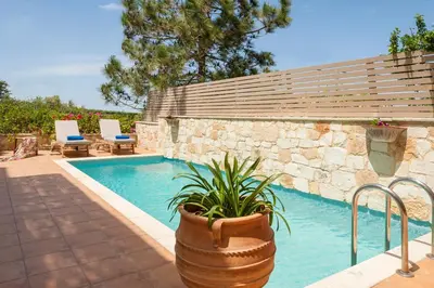 a swimming pool with a potted plant next to a stone wall at My Villa Dafni in Stalos