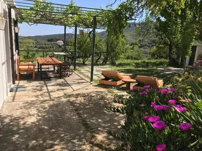 a patio with benches and tables and purple flowers at Temenia House in Teménia