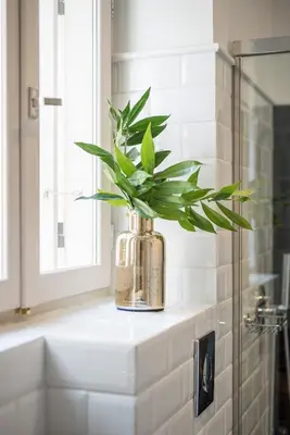 a plant in a vase on a counter in a bathroom at Elia Portou Due in Chania Town