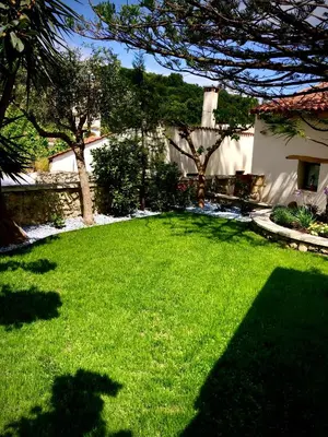a yard with a green lawn with trees and a house at Chorio House Platanias in Vrísai