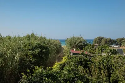 a house in the trees with the ocean in the background at Sirens House in Tavronitis