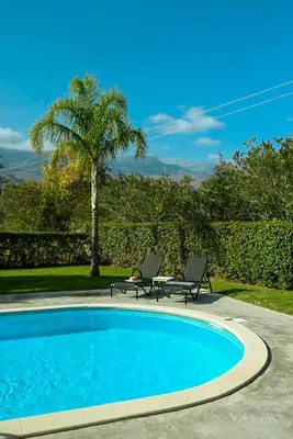 a pool with two chairs and a table and a palm tree at Villa Felenia in Vryses