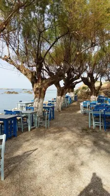 a row of blue tables and chairs under a tree at Melani Apartments in Chania Town
