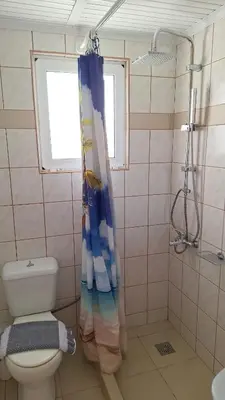 a bathroom with a toilet and a shower curtain at Kalliopi Studios - Apartments in Kato Daratso