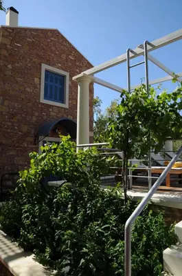 a group of plants in front of a building at Metohi Georgila in Maleme