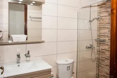 a bathroom with a toilet and a sink and a shower at Argo Rooms-Papadakis in Kissamos