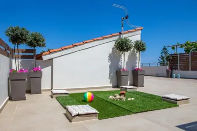 a rendering of a patio with a ball on the grass at Angels Suites in Plataniás