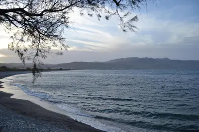a beach with a tree and the water at Augusta Country House in Derés