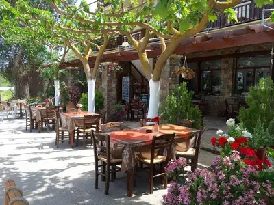 an outdoor restaurant with tables and chairs and trees at Platanos Rooms in Anopoli Sfakion