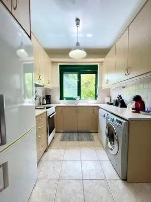 a kitchen with a washer and a sink and a dishwasher at Sunny Villa in Kissamos