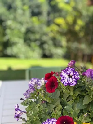 a bunch of colorful flowers in a vase at Villa Fanouris in Chania Town