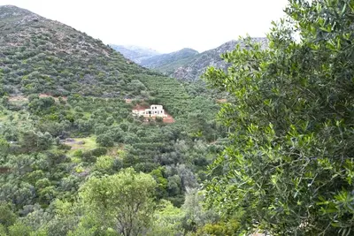 a house in the middle of a valley with trees at Villa Levande in Sfinárion