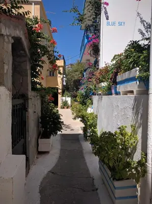 a small alley with flowers on the side of a building at Blue Sky in Palaiochóra