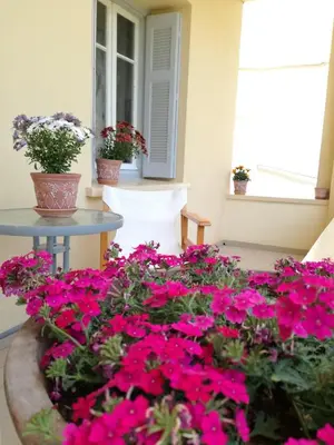 a flower bed of pink flowers on a porch at Haralabos Central Apartment in Chania Town