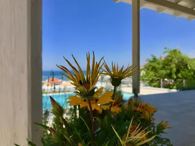 a bunch of flowers in front of a pool at Thea Thalassa in Kalamaki Chanion