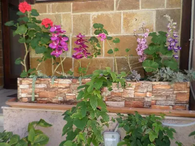 a bunch of flowers on a brick wall at Tina Hotel in Chania Town