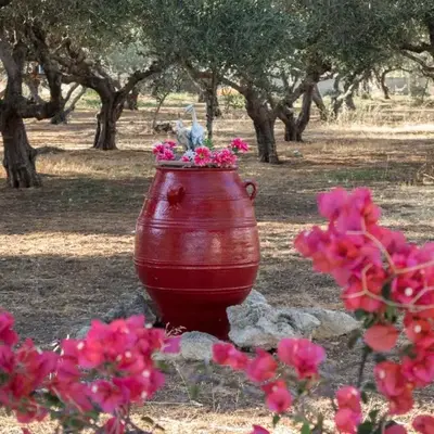 Xirouchakis farm