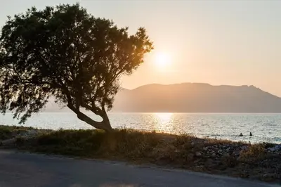 a tree on the beach with the sun setting at Niovi Seaside Suites in Kissamos