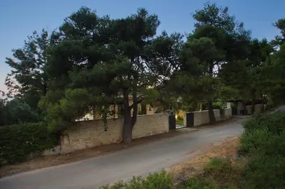 a tree on the side of a road at Koukounari luxury villa in Chania Town
