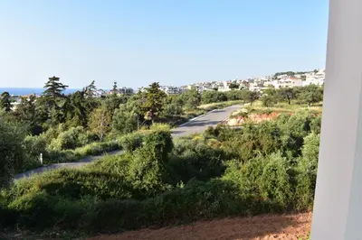 a road in the middle of a field of trees at Studios Staring at the Sunset in Chania Town