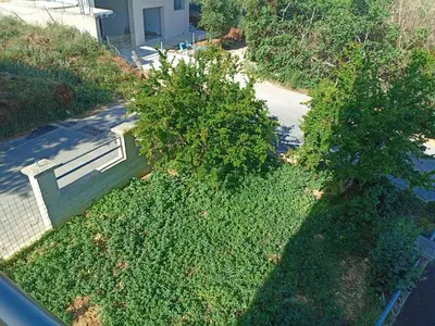 an overhead view of two trees in a yard at Studios Staring at the Sunset in Chania Town