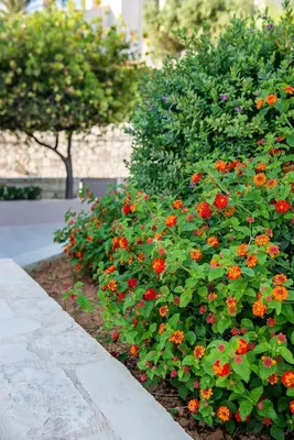 a garden with red flowers and a stone wall at Stellina Village in Kato Daratso