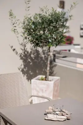 a table with a potted tree in a planter at Stellina Village in Kato Daratso