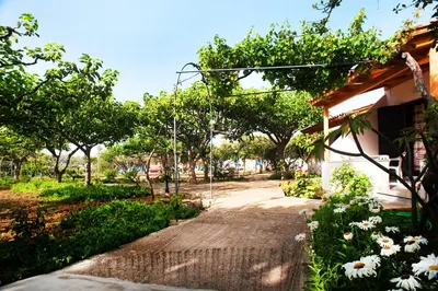 a path leading to a house with flowers and trees at Dolphin Apartments in Frangokastello