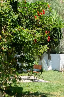 a park bench sitting under a tree with red flowers at Irtakina in Sougia
