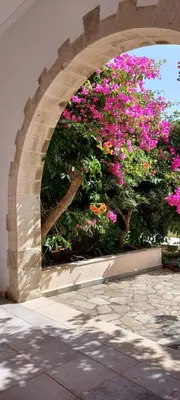 an arch way with pink flowers on a bush at Doma Apartments in Falasarna