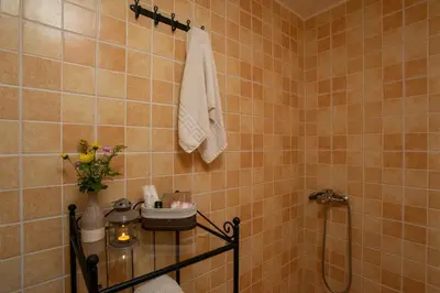 a bathroom with a shower and a vase of flowers at Villa Georgia in Kalyves
