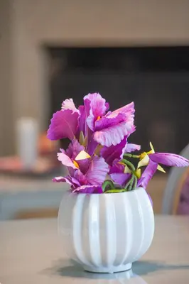a white vase filled with purple flowers on a table at Skandalakis Homes & Apartments in Stalos