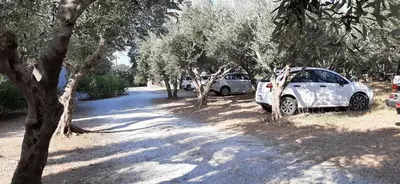two cars parked on a dirt road with trees at Viena Rooms & Apartments in Palaiochóra