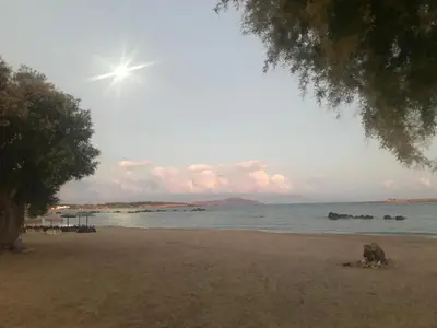 a sandy beach with a tree and the water at Frini Hotel in Chania Town