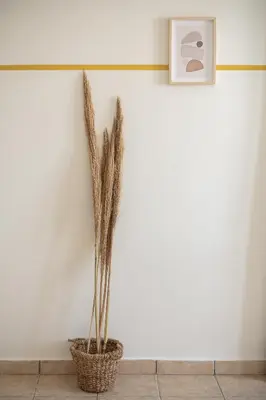a plant in a basket against a white wall at Artemis Apartments in Stalos