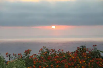 a sunset over the ocean with flowers in the foreground at Kavousi Resort in Falasarna