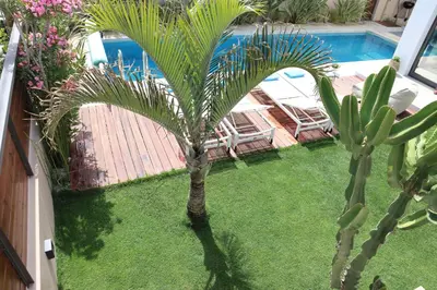 a palm tree in a yard next to a swimming pool at Fos Villa, a Luxe House with Private Heated Pool in Galatás